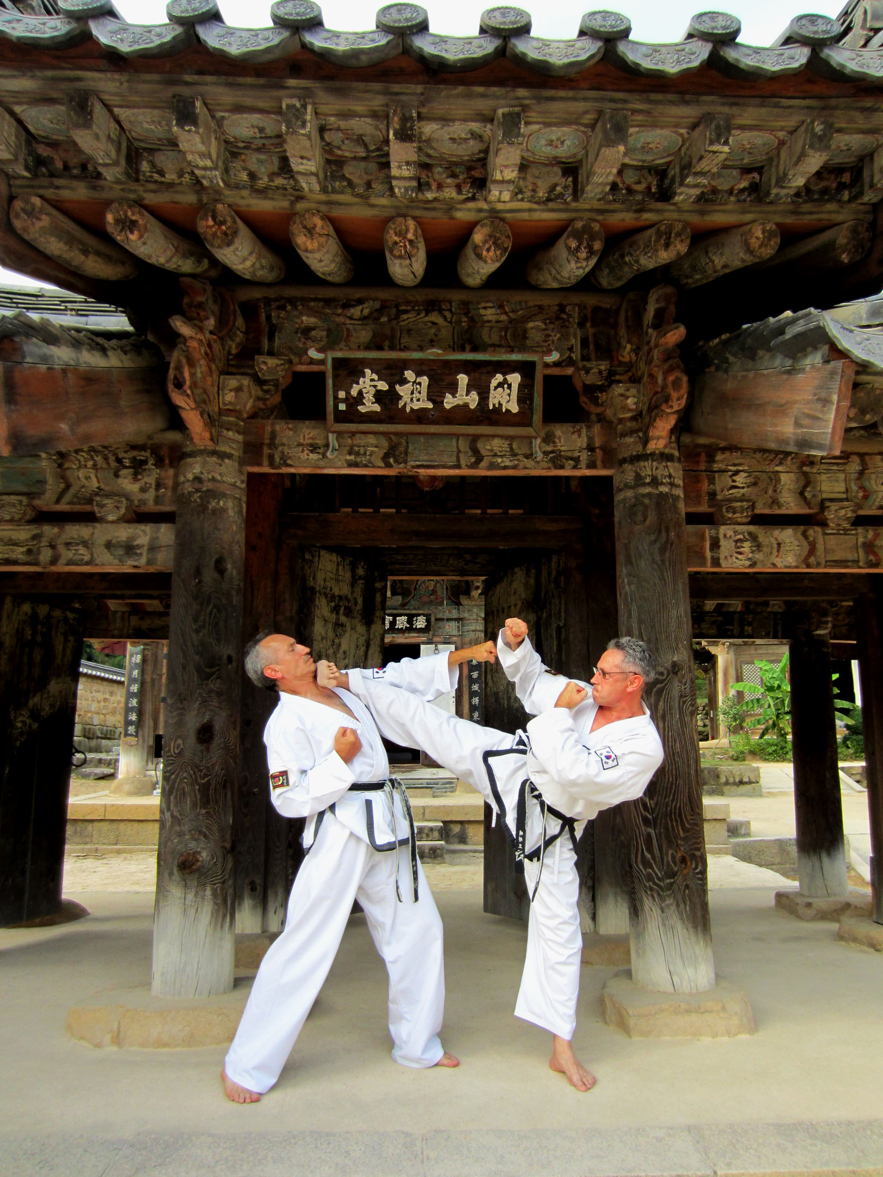 Taekwondo Großmeister Heiko Peter